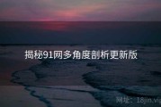 揭秘91网多角度剖析更新版