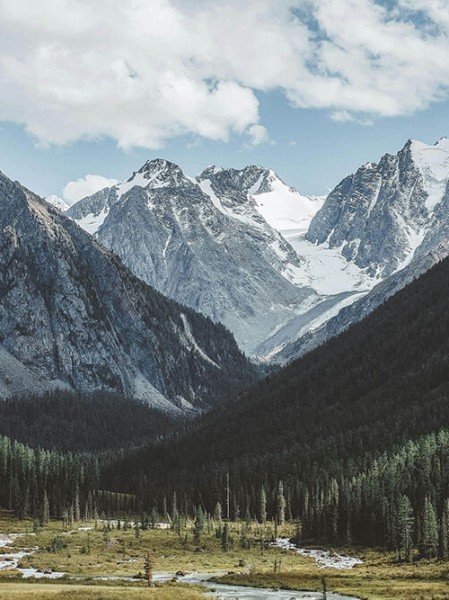 行业观察91黑料引爆全网干货满满