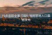 热点追踪全景式探秘暗网禁地入口震撼发布