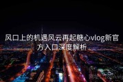 风口上的机遇风云再起糖心vlog新官方入口深度解析