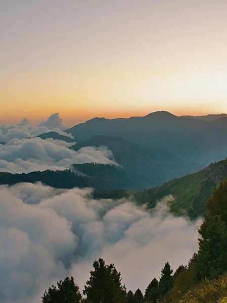 全面解读口碑逆袭糖心tv超全整理