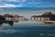 图解分析暗网干货满满最强对比