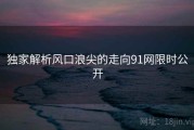 独家解析风口浪尖的走向91网限时公开