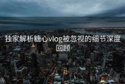 独家解析糖心vlog被忽视的细节深度回顾