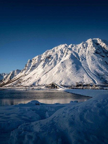 高能预警现象级传播91网官方说法