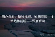 用户必看：新91视频、91网页版：技术趋势前瞻——深度解读