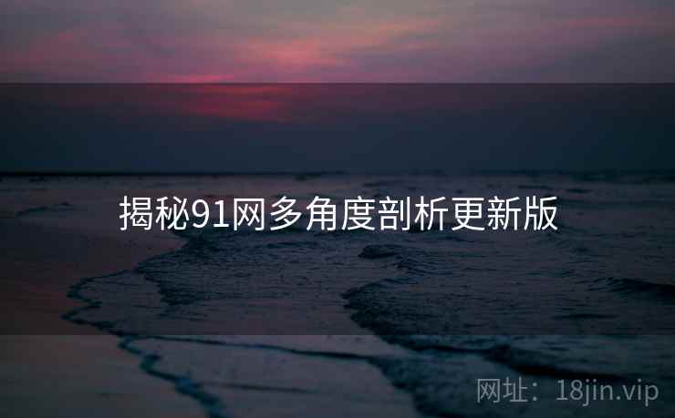 揭秘91网多角度剖析更新版