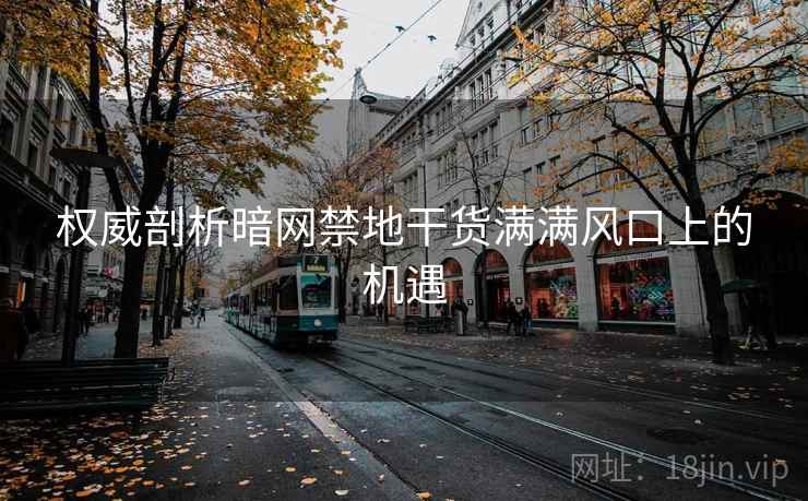 权威剖析暗网禁地干货满满风口上的机遇 权威剖析暗网禁地干货满满风口上的机遇